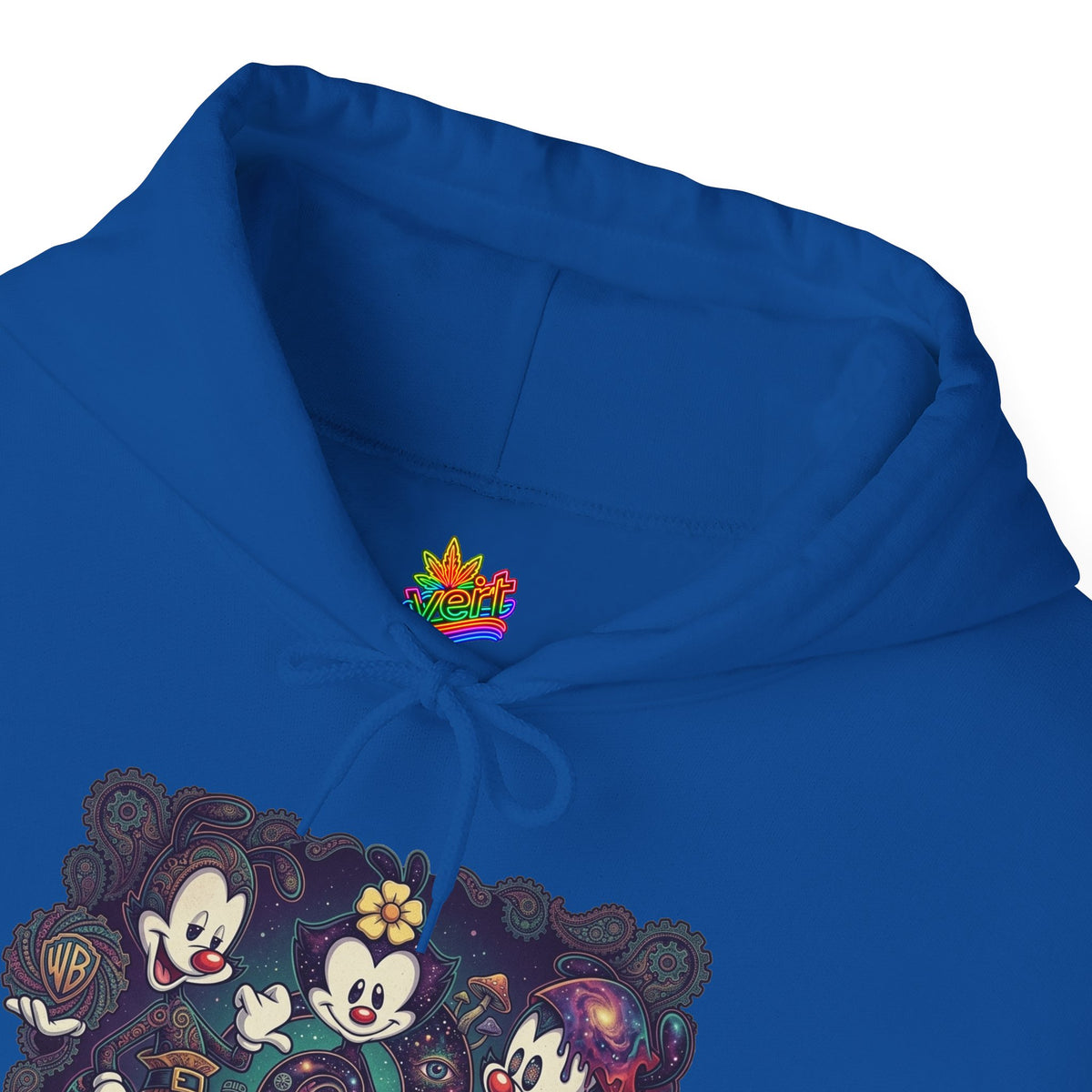 Vert Animaniacs Psychedelic Vintage Style Unisex Graphic Hoodie