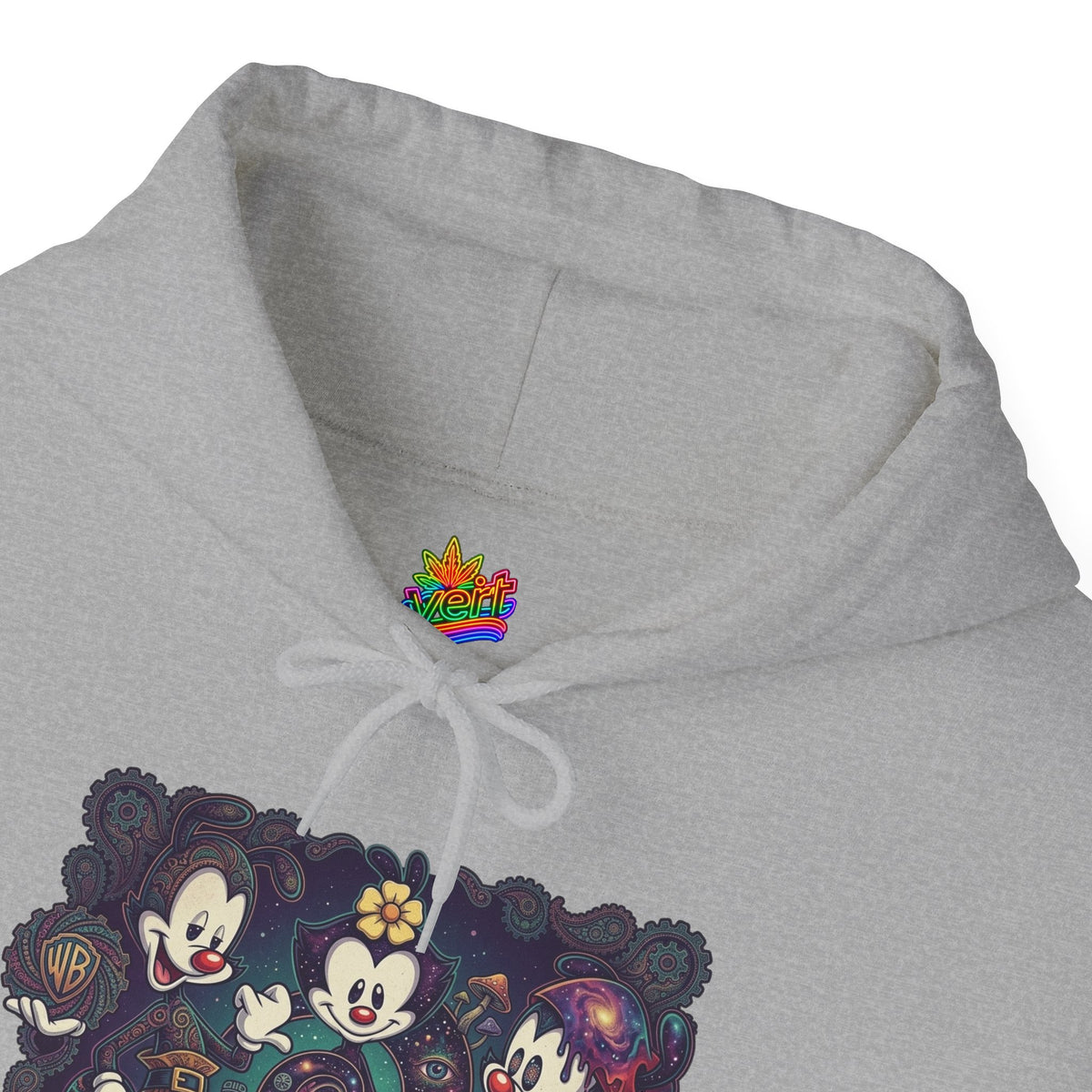 Vert Animaniacs Psychedelic Vintage Style Unisex Graphic Hoodie